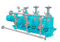 德帕姆Depamu三头液压隔膜式计量泵3DPMSDA