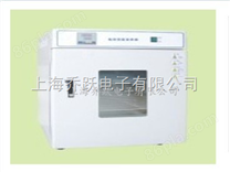 供应桂林电热恒温培养箱DH2500AB价格